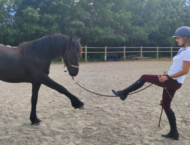 Préparation Physique pour les Cavaliers à Rians